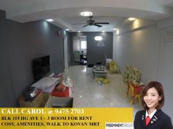 Blk 115 Hougang Avenue 1 (Hougang), HDB 3 Rooms #139541942